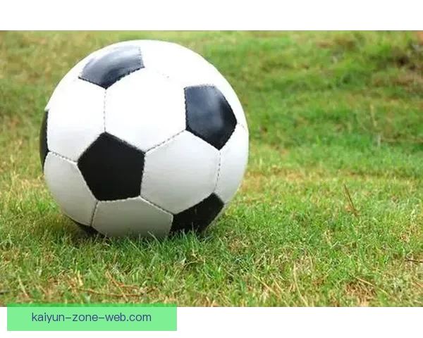 世界杯足球竞猜预测策略揭秘 精准分析助你赢得竞猜大奖